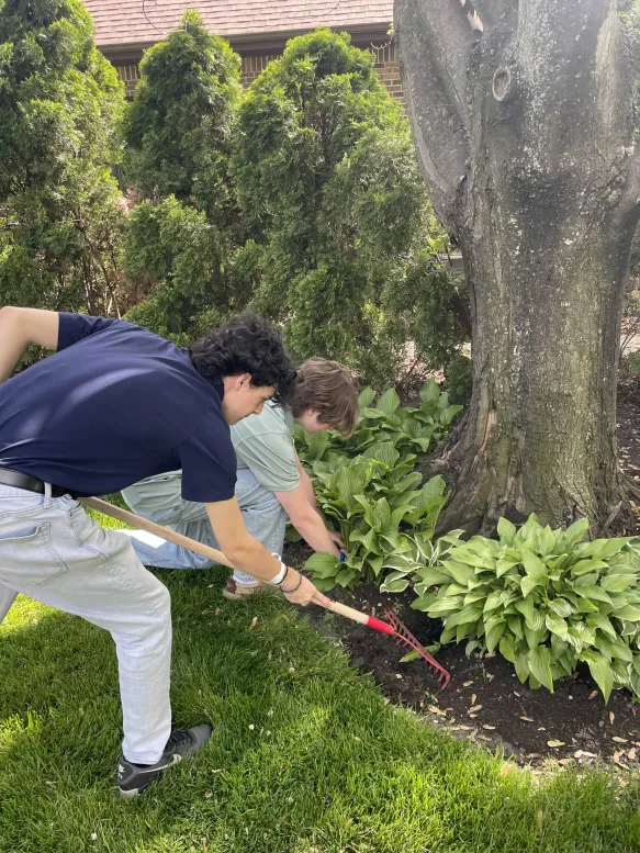 Weeding service